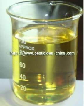 Gibberellic Acid (GA4+7) 1.8% + 6-Benzylaminopurine 1.8% EC=3.6% EC