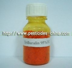 Trifluralin 96% TC, 480g/L EC