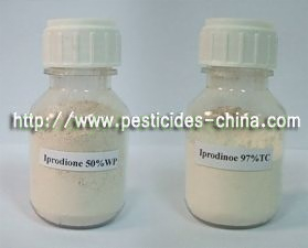 Iprodione 95% MIN. TC, 50% WP, 500G/L SC