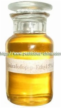 Quizalofop-p-Ethyl 10% EC