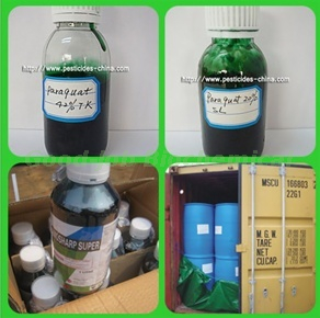 Herbicide paraquat dichloride 240 G/L SL